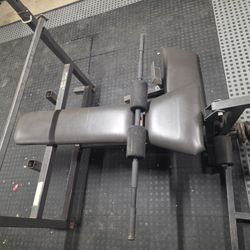 Bench Press