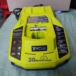 Ryobi P177 ONE+ 30 minute Intelliport 18v Lithium Ion Fast Battery Charger 