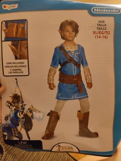 Zelda Link Costume