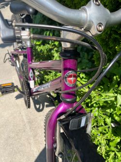 SCHWINN THRASHER SHIMANO EQUIPPED 24”