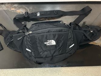 The north face Fanny pack