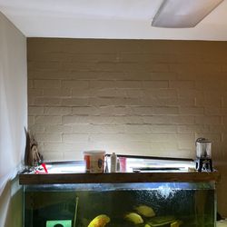 Large Fish Tank For Sale