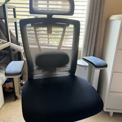 Autonomous Ergochair pro