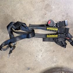 Schroth Quick Fit Harness BMW 2013