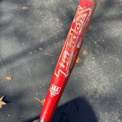 Baseball/Softball Bats Individually Priced