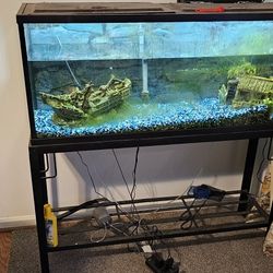 55 Gallon Aquarium With stand