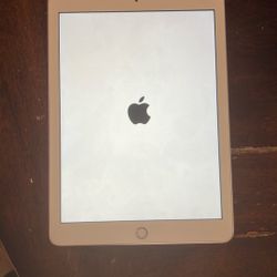 11in iPad New Out Of Box