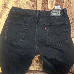 Levi Pants 