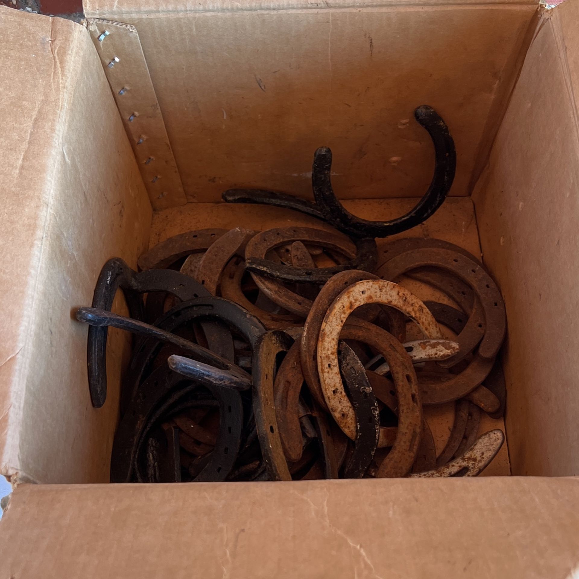 Box Of horseshoes