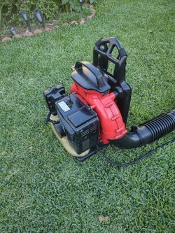 Kawasaki 2024 leaf blower