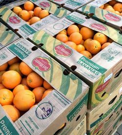 Sweet oranges for sale