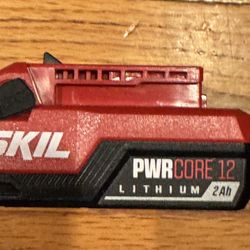 Skil Pwr Core 12 Volt 2 Ah Battery