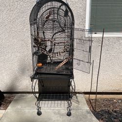 Bird Gage  Large Cage 