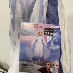 Elsa Costume 