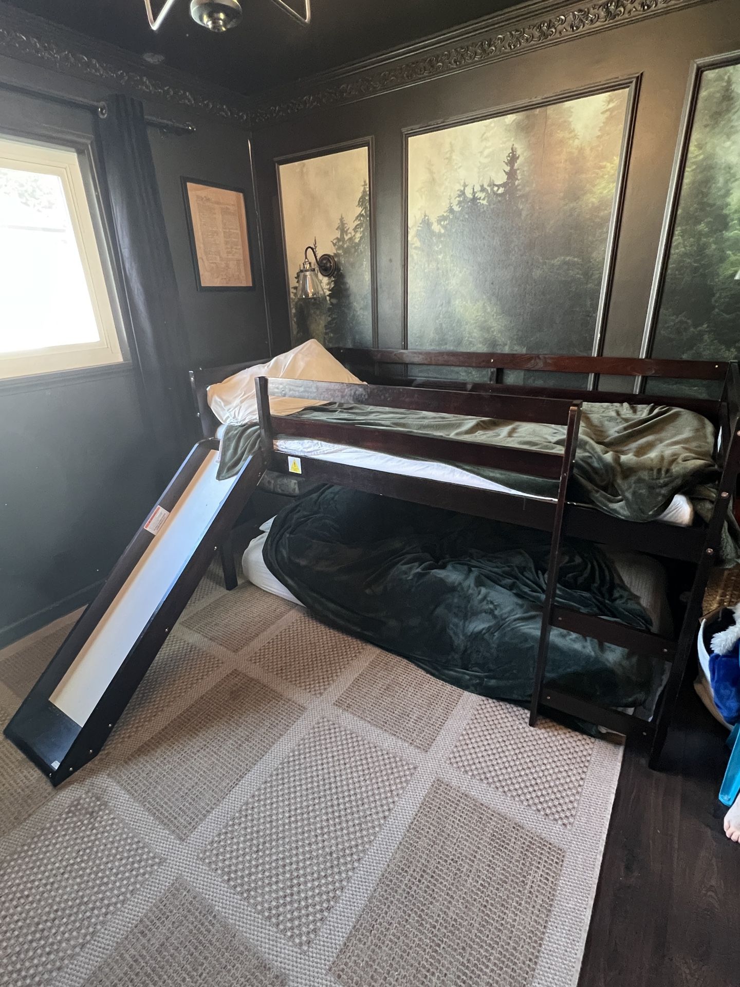 Free Bunk Bed With Slide