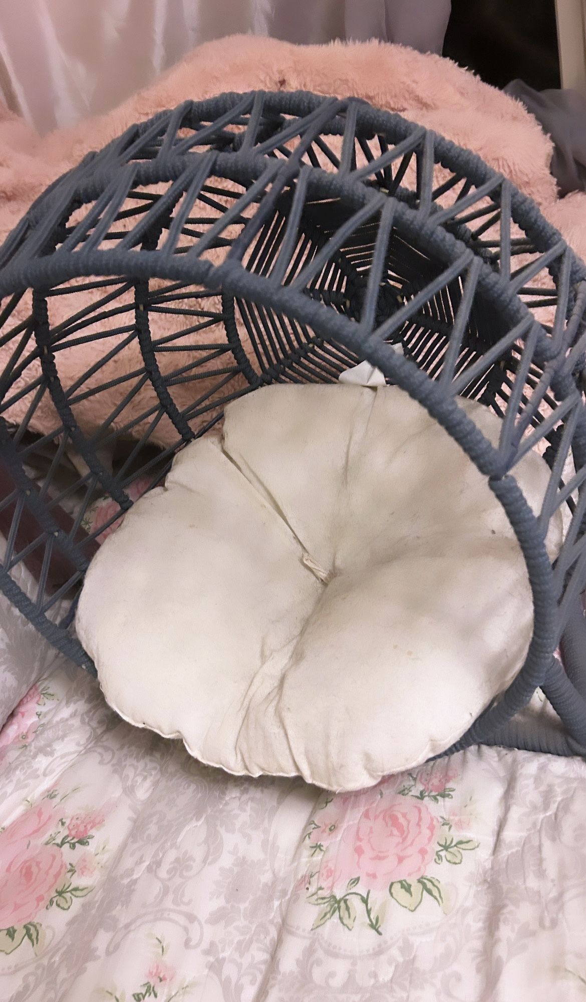 Cat Chair