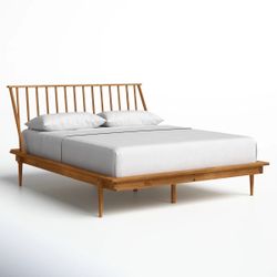 Queen Bed and Mattress
