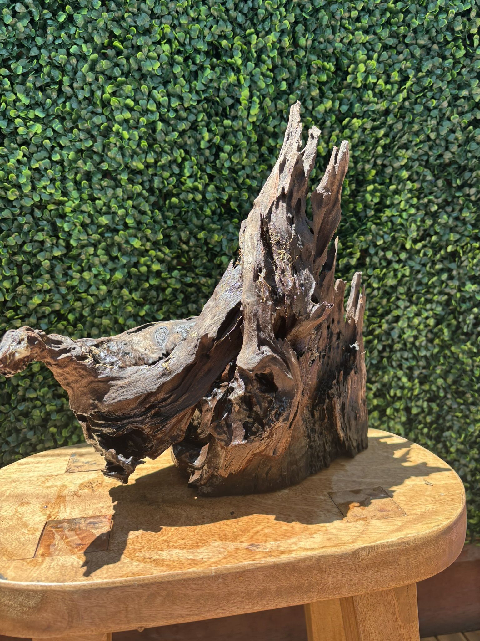 Aquascape Driftwood
