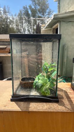 5 gal tank
