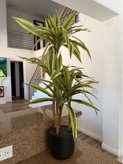Artificial Dracaena Plant in Black Pot – 30-34” Tall