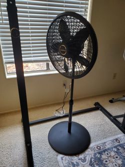 Fan