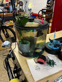 Fish Tank 2.5 Gallon