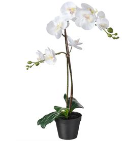 FEJKA Artificial potted plant, Orchid white, 4 ¾ "