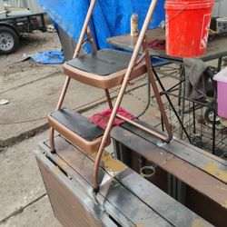 Costco Step Metal Latter,2 Step