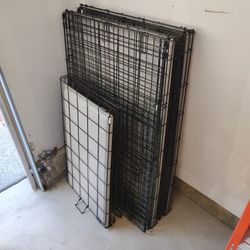 Dog Crates 