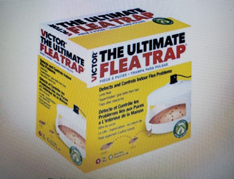 Victor Flea Trap
