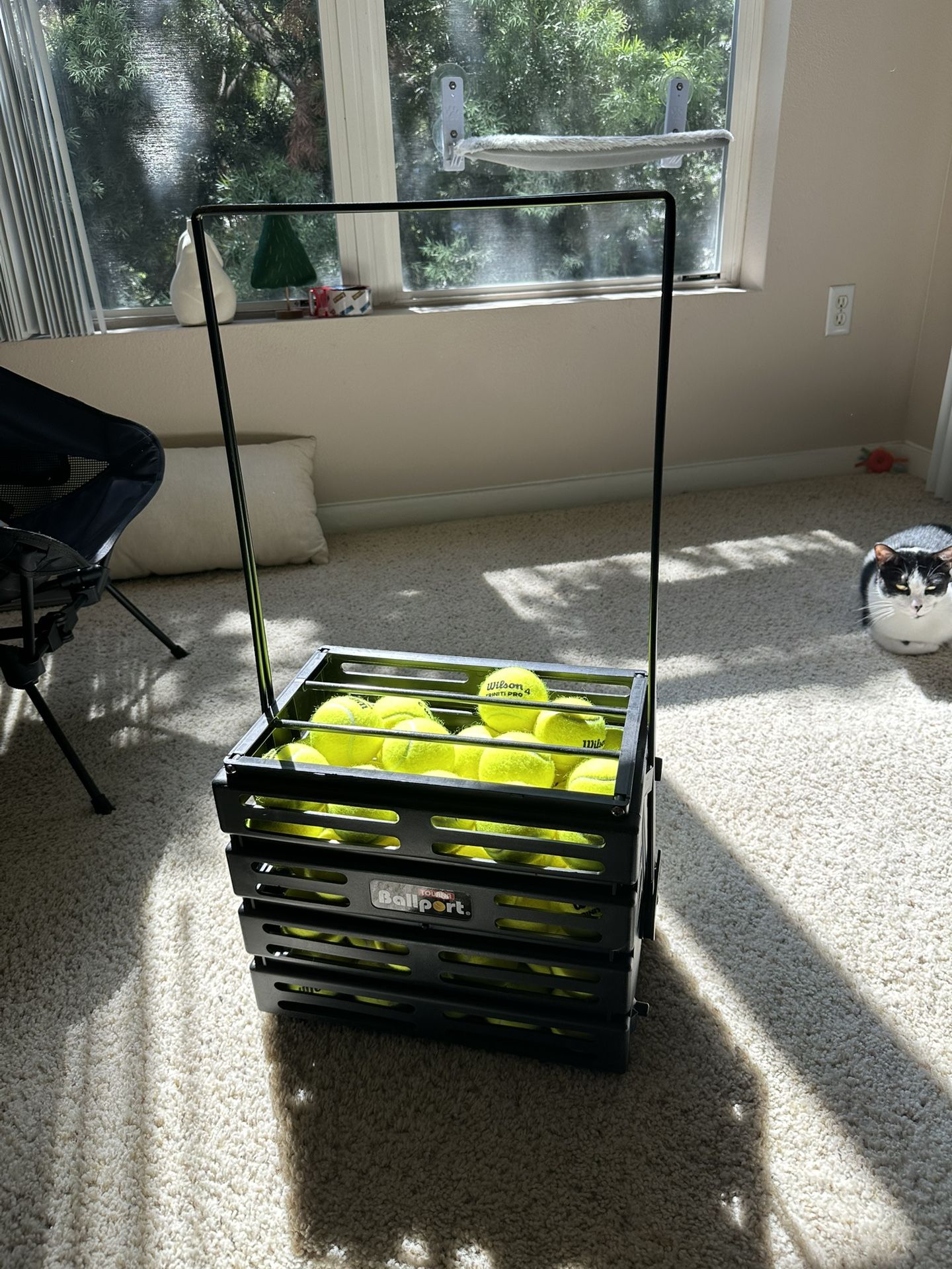 Tennis Ball Basket And Wilson Trinity Pro Balls