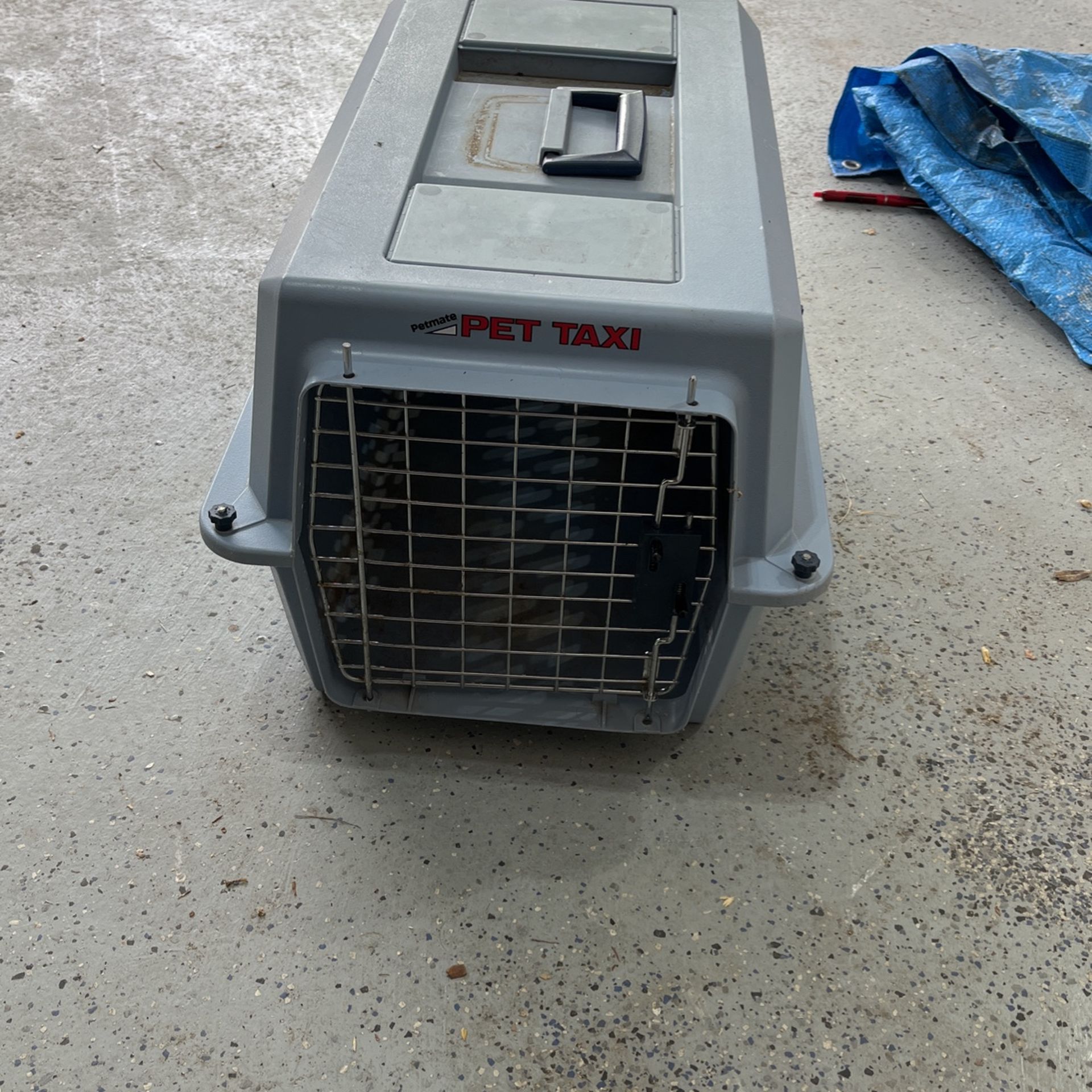 Pet Taxi