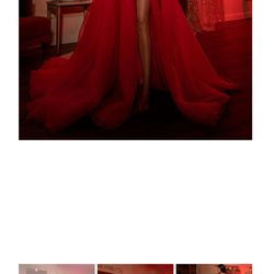 Albina Dyla  Size M  Color Red  Price  $1,000From $1,670.00