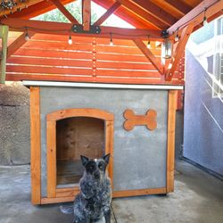 Heavy duty Custom Insulated Dog House