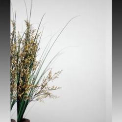 Alno 2000 Series 15" x 25" Single Door Recessed Mirrored Bathroom Medicine Cabinet