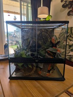 Exoterra Terrarium (18x18x18)