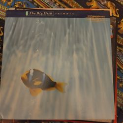 The Big Dish. Swimmer