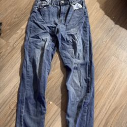 Mid Rise Light Wash Skinny Jeans