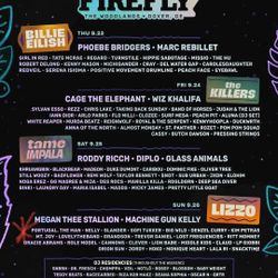 Firefly 2021 GA PASS FOR SUNDAY 