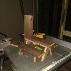 Squirrel 🐿️ Feeder 