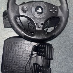 Thrustmaster Driving Wheel 