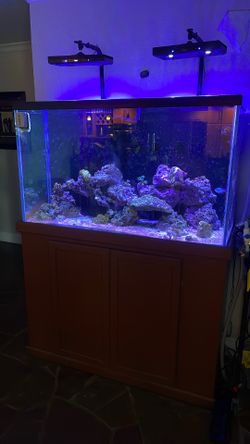 Complete Fish Tank You Pick Up