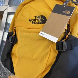 The Northface Backpack 