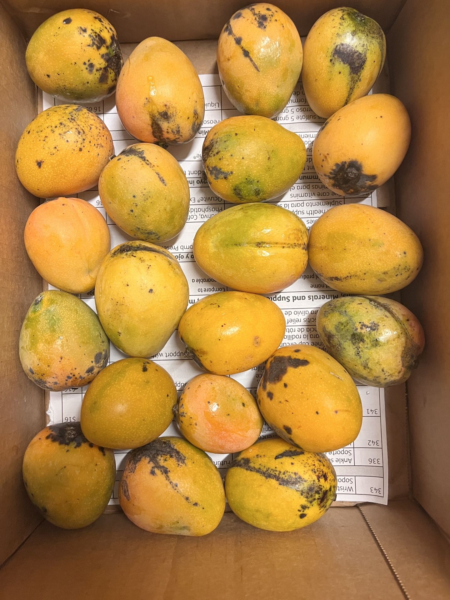 Ripe Mangoes for Sale in Pompano Beach, FL OfferUp