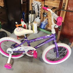 Girl's 16" Bicycle
