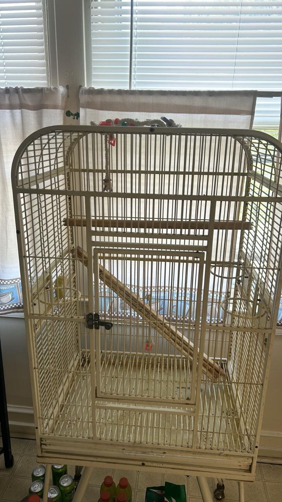 Bird Cage