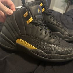 Jordan 12 Black Taxi 