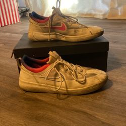 Men’s 10.5 Nike SB