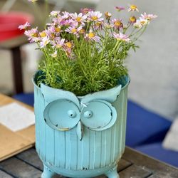 Metal Owl Planter