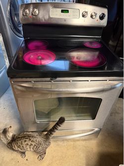 Electric stove
